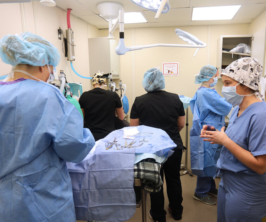 Dr. Curry provides instruction to a student in the mobile surgery unit as others prep for surgery in the background