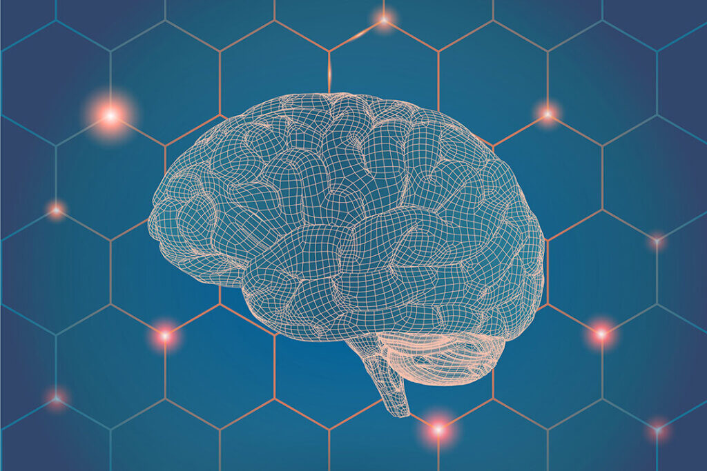 illustration of a brain