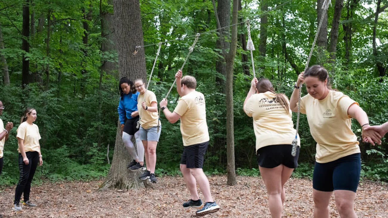Veterinary students participating in an orientation activity outdoor in a forest-setting