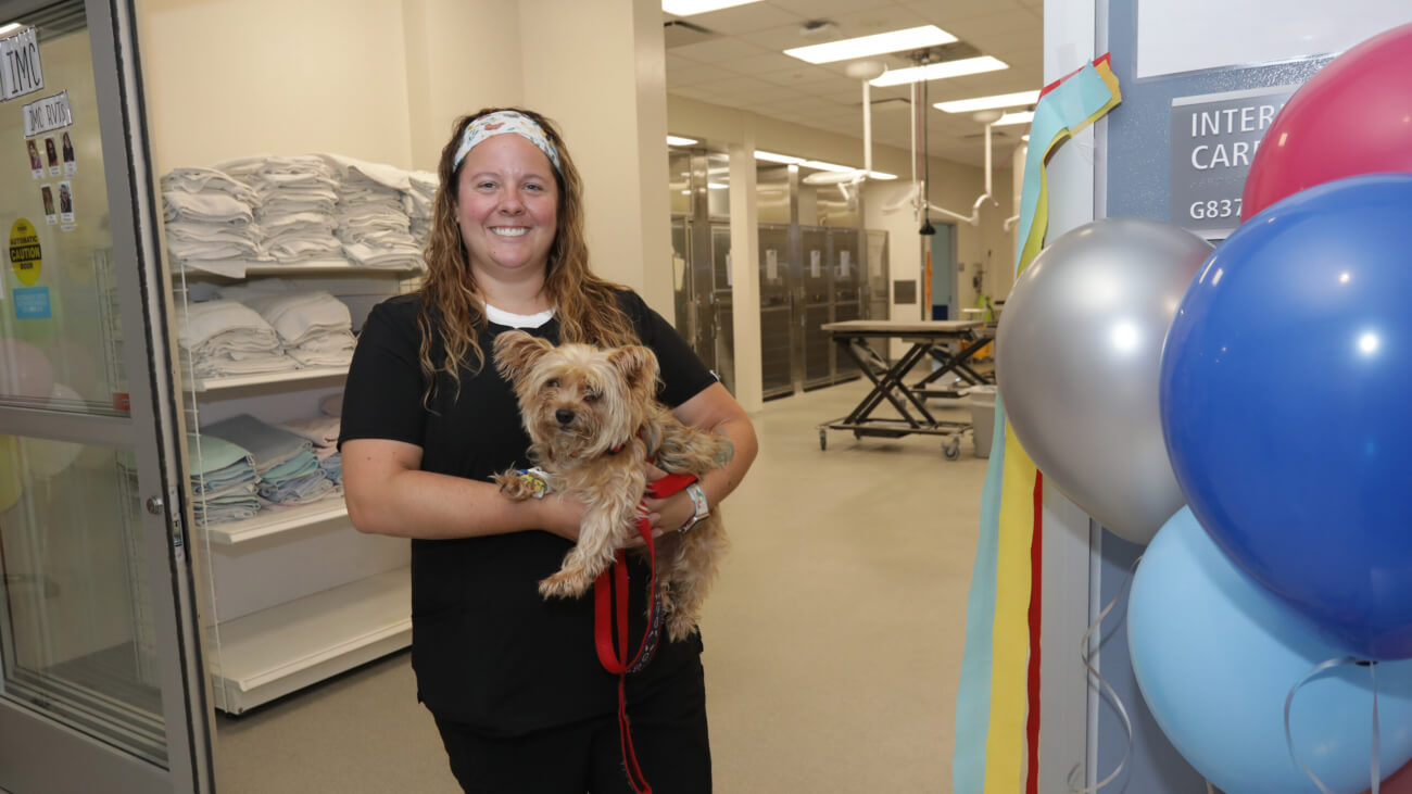 Intermediate Care (IMC), a newly opened unit in the Brunner Small Animal Hospital, receives its first patient, a Yorkshire Terrier named Rizzo, carried by IMC Veterinary Technologist Supervisor Tami Lind.